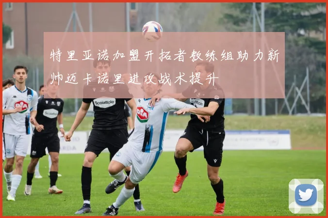 特里亚诺加盟开拓者教练组助力新帅迈卡诺里进攻战术提升
