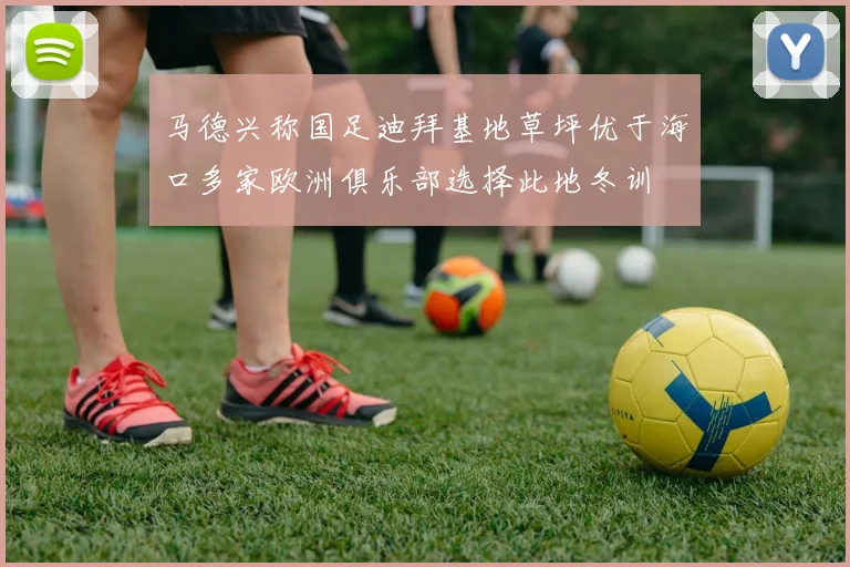 马德兴称国足迪拜基地草坪优于海口多家欧洲俱乐部选择此地冬训